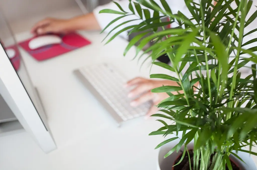 Le télétravail a-t-il un bilan environnemental positif ?