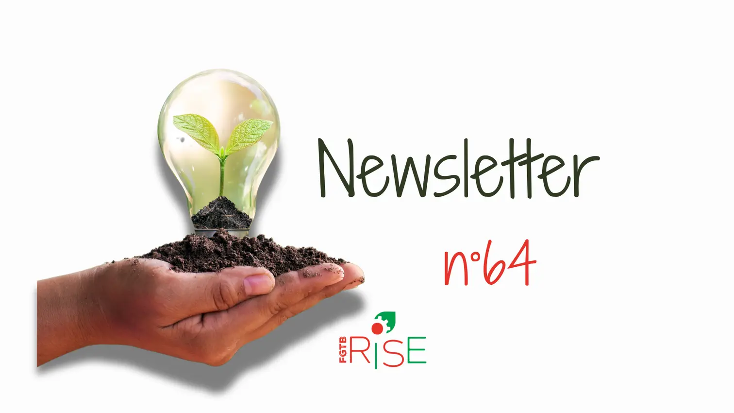 Newsletter n° 64 - Environnement