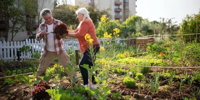 Bénéficiez d’une prime pour une analyse de sol, d’un fruit ou légume de votre jardin !