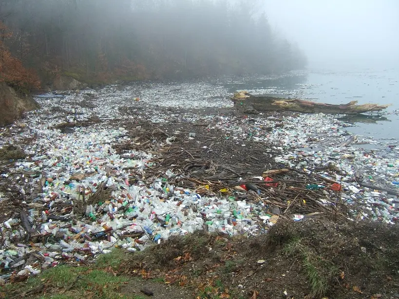 5 juin - 50e Journée mondiale de l’environnement