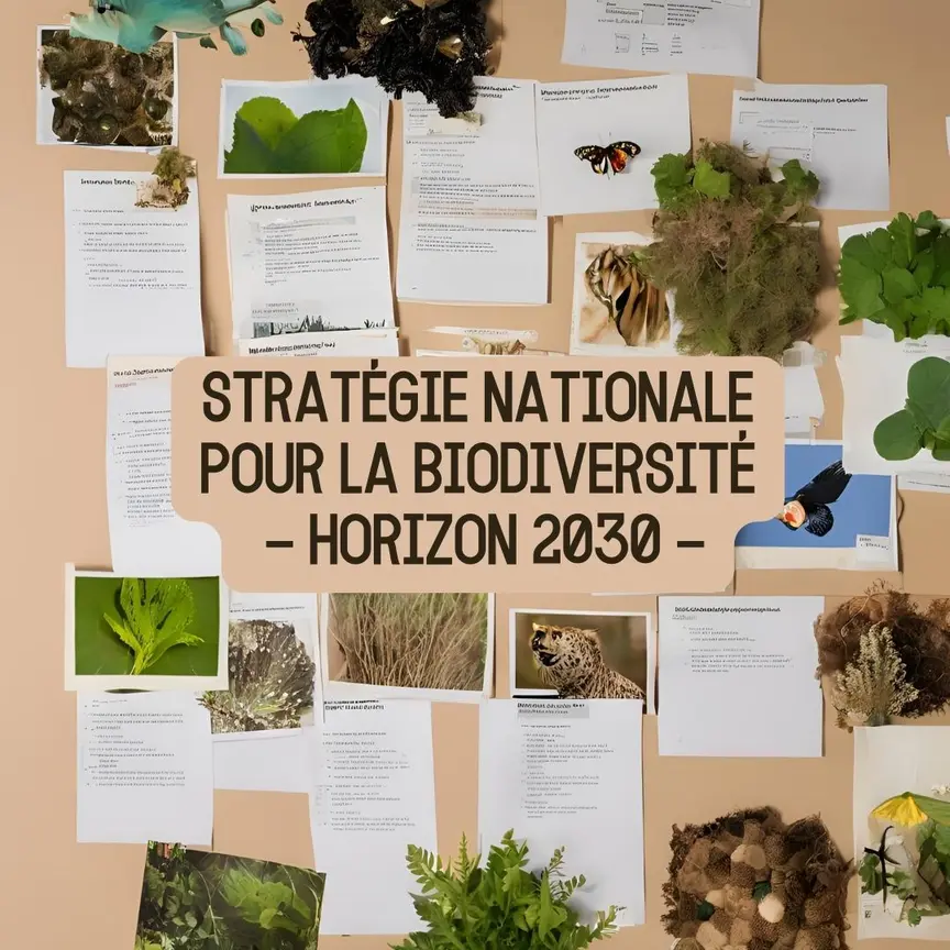 Votre avis compte : la Stratégie nationale pour la biodiversité horizon 2030 >> consultation publique