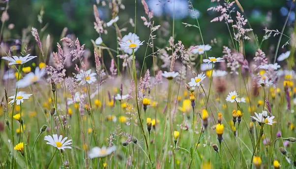 Enquête publique: la stratégie biodiversité 360°